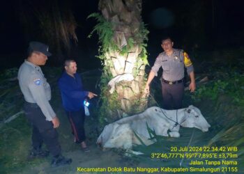 Polsek Serbalawan Amankan Dua Terduga Pelaku Pencurian Hewan Ternak dari Amukan Massa.