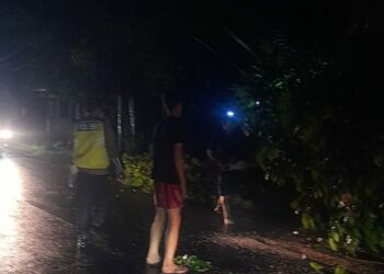 Pohon Mahoni Tumbang Akibat Hujan Deras Personil Penggal Jalan I Pos Yan III Polres Pemtangsiantar Bersihkan Jalan.