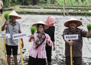 Wali Kota Pematangsiantar dr. Susanti Dewayani SpA Ikuti Kegiatan Tanam Padi Perdana Kelompok Tani (Poktan) Satahi.