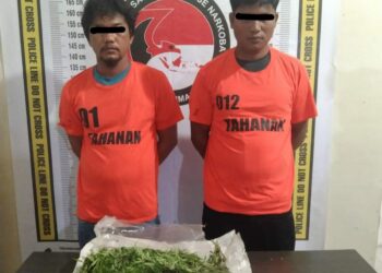 Penangkapan Pengedar Ganja di Perladangan Jeruk, Polres Simalungun Berhasil Amankan 6,5 Ons Ganja.