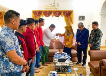Ketua DPP Himapsi Dian G Purba Tambak Didampingi Sejumlah Pengurus Saat Bertemu Walikota dr Susanti Dewayani SpA.