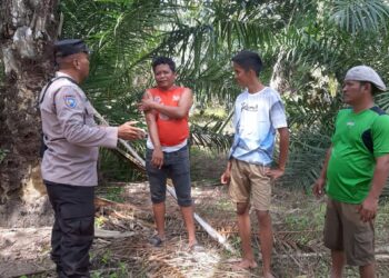 Bhabinkamtibmas Polsek Tanah Jawa Gelar Tatap Muka Dengan Petani Sawit di Simalungun.