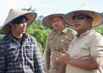 Bupati Simalungun Lakukan Penanaman Cabai Dengan Metode Fertigasi.