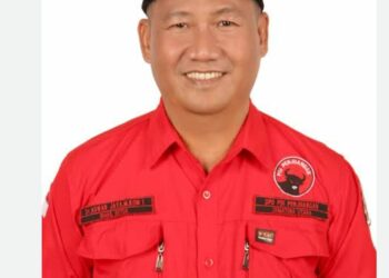 Wakil Ketua PDIP Sumut, Aswan Jaya.