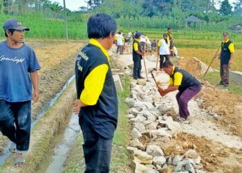 Pemkab Gelar Marharoan Bolon di Kecamatan Gunung Malela & Silahturahmi Dengan Masyarakat.