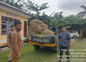 Polsek Tanah Jawa Gerebek Arena Sabung Ayam di Huta I Sigaol, Simalungun, Amankan Barang Bukti, Pelaku Melarikan Diri.