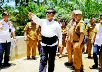 Bupati Simalungun & Kadis PUTR Tinjau Kondisi Jalan Penghubung Nagori Sordang Bolon Menuju Bangun Sordang.