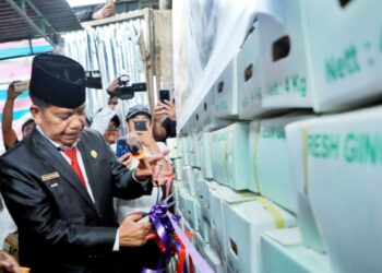 Bupati Simalungun Berangkatkan Export Fresh Ginger Perdana, Simalungun - Dubai.