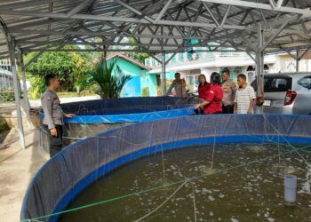 Polsek Siantar Utara Pengecekan Lahan Budidaya Perikanan di Jalan Damar Laut.