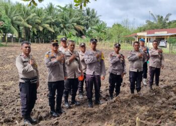 Polsek Perdagangan Gelar Program Ketahanan Pangan, Tanam Jagung di Lahan Asrama untuk Dukung ASTA CITA Presiden Prabowo.