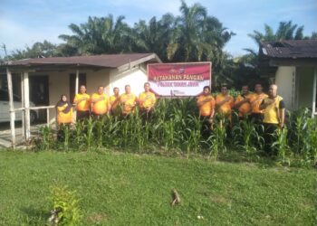 Inisiatif Ketahanan Pangan Polsek Tanah Jawa, Langkah Konkret Polri Menuju Kemandirian Pangan.