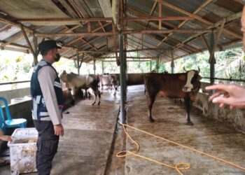 Babinkantibmas Polsek Sipispis Himbau Para Pemilik Ternak.