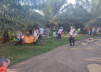 Mayat Nenek Tua Ditemukan di Areal Perkebunan Dolok Merawan.