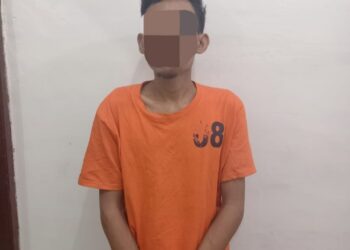 Pelaku Diamankan Polsek Padang Hilir.