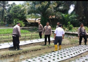 Binmas Polres Tebingtinggi Tinjau Persiapan Ketahanan Pangan di Kelurahan Pinang Mancung.