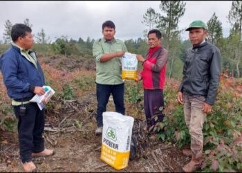 PT.TPL Sektor Habinsaran Meyalurkan Dukungan Berupa Jagung.