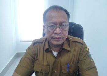 Kepala Dinas Perpustakaan & Kearsipan Kabupaten Toba Pargaulan Sianipar.