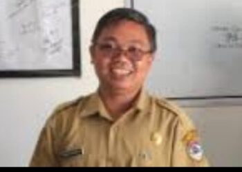 Kepala Dinas Kesehatan Kabupaten Toba dr Freddy Sibarani.