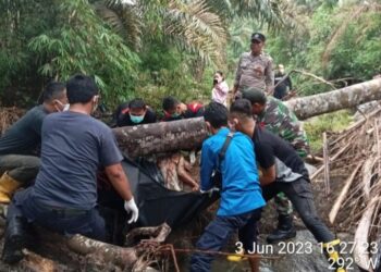 Pihak Kepolisian Dari Polsek Tanah Jawa Setibanya di TKP, Langsung Melakukan Evakuasi Jenazah.