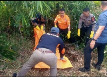 Mayat Perempuan Tanpa Identitas Di Temukan di Ladang Ubi.