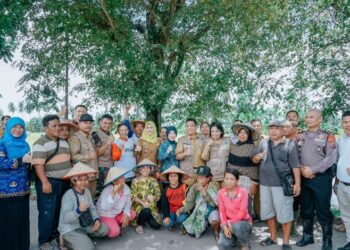 Pj. Walikota Panen Bersama Dengan Satgas Pangan  Tebingtinggi.