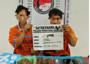 Polres Pematangsiantar Tangkap Dua Laki Laki Pemilik Daun Ganja .