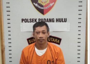 Pelaku Diamankan Polsek Padang Hulu.