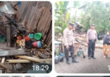 Pohon Rambutan Tua Tumbang Timpa Rumah di Dolok Batu Nanggar, Tidak Ada Korban Jiwa.