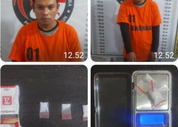 Polsek Saribu Dolok Polres Simalungun Tangkap Pelaku Pengedar Narkoba di Wilayah Perladangan.