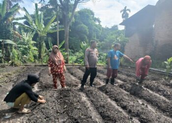 Bhabinkamtibmas Polsek Siantar Martoba Dorong P2L Wanita Kolompok Tani.