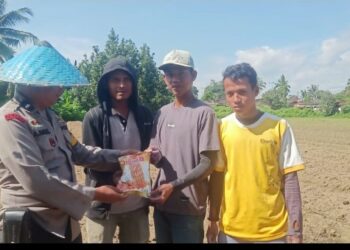 Dukung Ketahanan Pangan, Bhabinkamtibmas Parhorasan Dorong Warganya Tanam Benih Jagung.