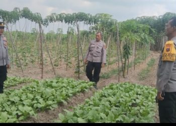 Polsek Serbalawan Wujudkan Ketahanan Pangan Melalui Program Pekarangan & Lahan Produktif.