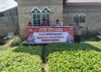 Polsek Serbalawan Dukung Program Pekarangan Pangan Bergizi di Dolok Kataran.