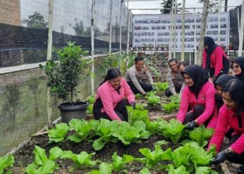 Bhayangkari Cabang Simalungun Luncurkan Program Pekarangan Pangan Lestari Untuk Mendukung Ketahanan Pangan Nasional.