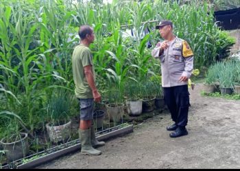 Dukung Ketahanan Pangan, Bhabinkamtibmas Polsek Siantar Timur Sambangi Warga Binaan.