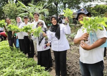 Wakil Wali Kota Pematangsiantar Herlina Kunjungi & Monitoring Mrogram Pekarangan Pangan Lestari Kelompok Wanita Tani (KWT) Mitra Jaya, di Kelurahan Sumber Jaya Kecamatan Siantar Martoba.