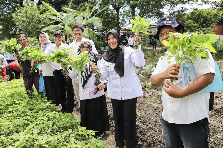 Wakil Wali Kota Pematangsiantar Herlina Kunjungi & Monitoring Mrogram Pekarangan Pangan Lestari Kelompok Wanita Tani (KWT) Mitra Jaya, di Kelurahan Sumber Jaya Kecamatan Siantar Martoba.