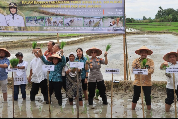 Tatap Muka Dengan Petani, Kapolres Pematangsiantar Hadiri Pembagian Benih, Tebar Bibit Ikan & Tanam Padi di Gunung Mulia.