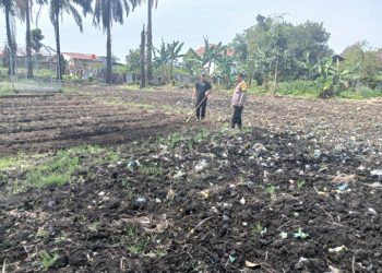 Manfaatkan Ladang Tanam Tanaman  Bergizi, Polsek Siantar Martoba Sambangi Warga.