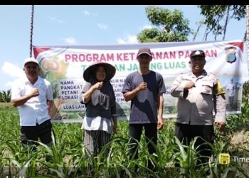 Polri Simalungun Wujudkan Mimpi Petani, Program 1 Desa 1 Polisi Tanam Jagung Untuk Ketahanan Pangan Menuju Indonesia Emas 2045.