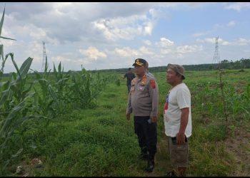 Kapolres Simalungun Wujudkan Asta Cita Presiden RI Melalui Program Ketahanan Pangan Nasional.
