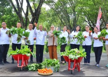 Ketua TP PKK Simalungun Panen Sawi di Pekarangan Rumah, Dibagikan Ke Masyarakat Sekitar.
