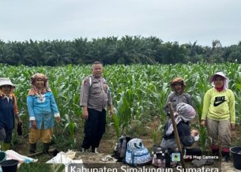 Polsek Tanah Jawa Polres Simalungun Dukung Asta Cita Presiden Prabowo : Program 1 Desa 1 Polisi Untuk Ketahanan Pangan.
