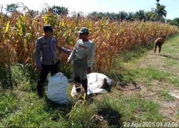 Dukung Ketapang, Poslek Siantar Marihat Sambangi Warga di Jalan Bahkora II.