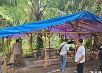 Polsek Tanah Jawa Buktikan Tidak Ada Judi Sabung Ayam.