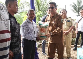 Wali Kota Pematangsiantar Wesly Silalahi, SH, MKn Diwakili Asisten Perekonomian dan Kesejahteraan Rakyat Zainal Siahaan, SE, MM Panen Padi di Persawahan Poktan Damai Sejahtera di Dusun Matio Kelurahan Nagahuta Timur Kecamatan Siantar Marimbun.