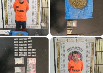 Operasi Spektakuler, Satnarkoba Polres Simalungun Ringkus Bandar Narkoba Dengan Temuan 159 Gram Sabu-Ganja.