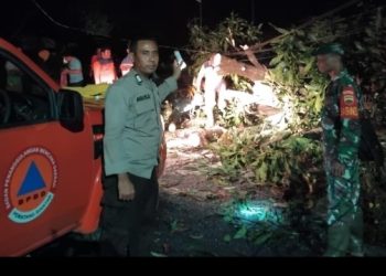Curah Hujan Cukup Eksrim Disertai Angin Kencang, Polres Pematangsiantar Cepat Evakuasi Pohon Tumbang,Rumah Rusak & Pasang Police line.