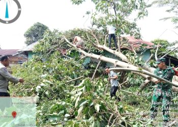 Polri Bersama Masyarakat, Polsek Siantar Marihat Bersihkan Material Rumah Terkena Pohon Tumbang.
