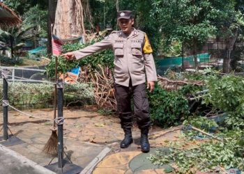Pasca Pohon Tumbang Akibat Angin Kencang, Polsek Siantar Barat Sampaikan Himbauan Kamtibmas.